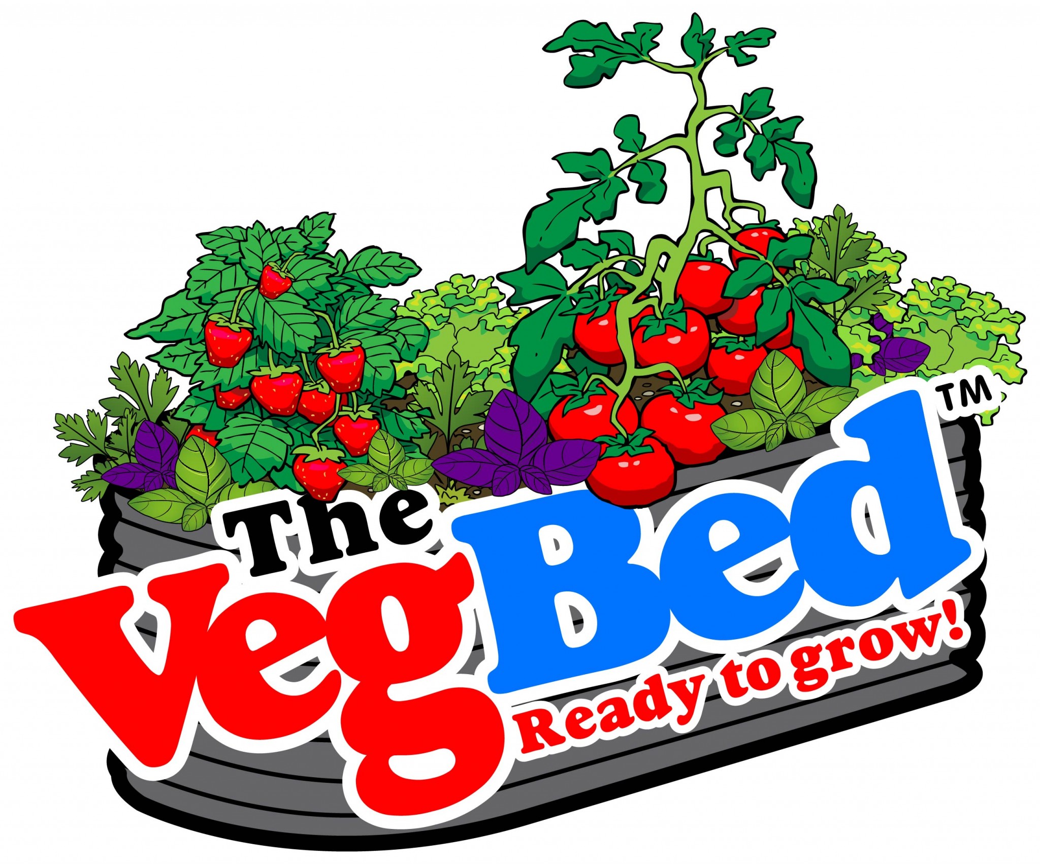 Sydney Plants Online Sydney