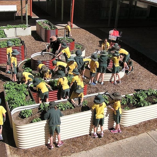 raised garden bed sydney